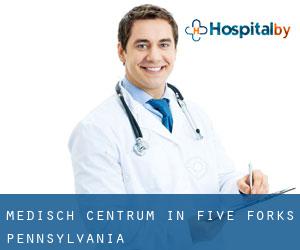 Medisch Centrum in Five Forks (Pennsylvania)