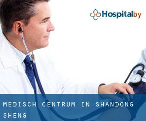 Medisch Centrum in Shandong Sheng