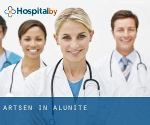 Artsen in Alunite