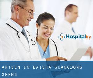 Artsen in Baisha (Guangdong Sheng)