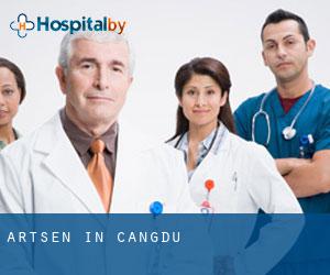 Artsen in Cangdu