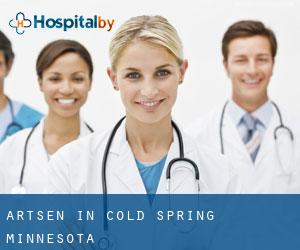 Artsen in Cold Spring (Minnesota)