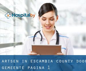 Artsen in Escambia County door gemeente - pagina 1