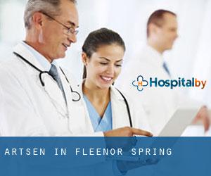 Artsen in Fleenor Spring