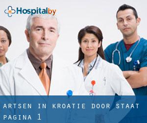 Artsen in Kroatië door Staat - pagina 1