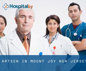 Artsen in Mount Joy (New Jersey)
