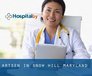 Artsen in Snow Hill (Maryland)