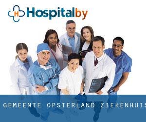 Gemeente Opsterland ziekenhuis