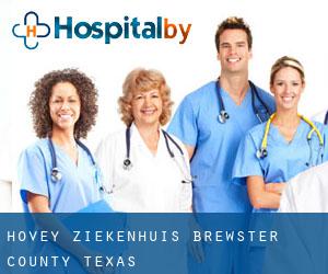 Hovey ziekenhuis (Brewster County, Texas)