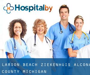 Larson Beach ziekenhuis (Alcona County, Michigan)