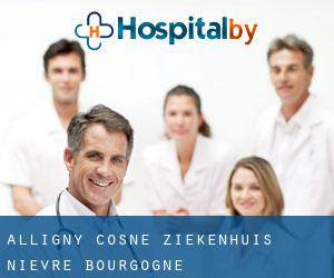 Alligny-Cosne ziekenhuis (Nièvre, Bourgogne)