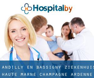 Andilly-en-Bassigny ziekenhuis (Haute-Marne, Champagne-Ardenne)