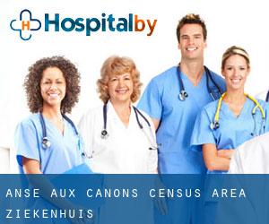 Anse-aux-Canons (census area) ziekenhuis
