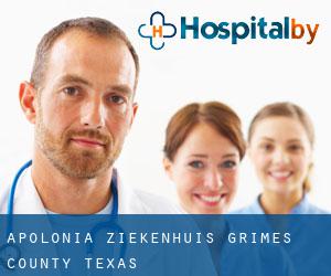 Apolonia ziekenhuis (Grimes County, Texas)