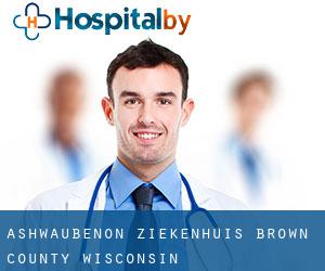 Ashwaubenon ziekenhuis (Brown County, Wisconsin)