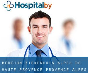 Bédejun ziekenhuis (Alpes-de-Haute-Provence, Provence-Alpes-Côte d'Azur)
