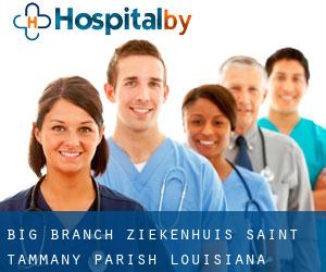 Big Branch ziekenhuis (Saint Tammany Parish, Louisiana)