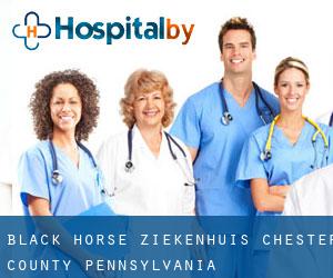 Black Horse ziekenhuis (Chester County, Pennsylvania)