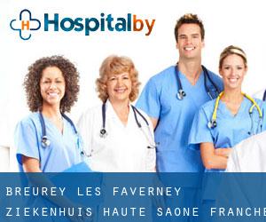 Breurey-lès-Faverney ziekenhuis (Haute-Saône, Franche-Comté)