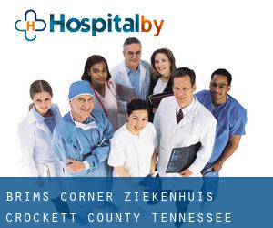 Brims Corner ziekenhuis (Crockett County, Tennessee)