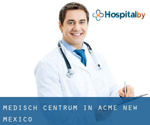 Medisch Centrum in Acme (New Mexico)