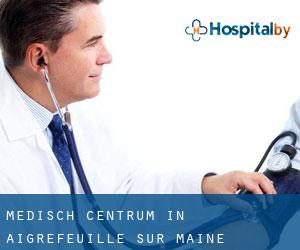 Medisch Centrum in Aigrefeuille-sur-Maine