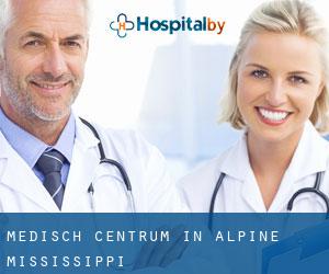 Medisch Centrum in Alpine (Mississippi)