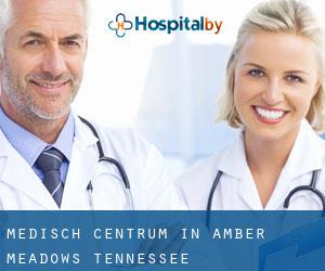 Medisch Centrum in Amber Meadows (Tennessee)