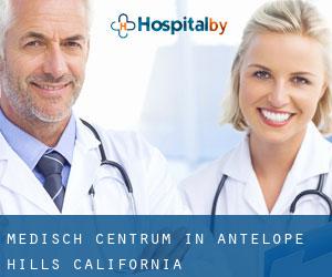 Medisch Centrum in Antelope Hills (California)