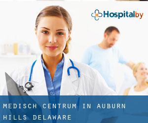 Medisch Centrum in Auburn Hills (Delaware)