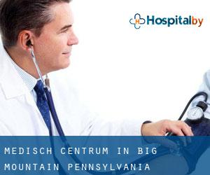 Medisch Centrum in Big Mountain (Pennsylvania)