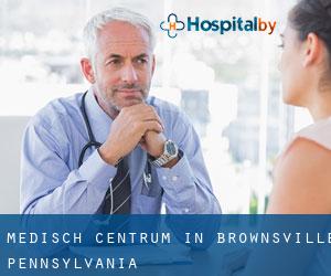 Medisch Centrum in Brownsville (Pennsylvania)