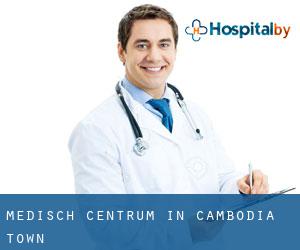 Medisch Centrum in Cambodia Town