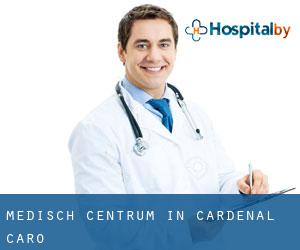 Medisch Centrum in Cardenal Caro