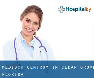 Medisch Centrum in Cedar Grove (Florida)