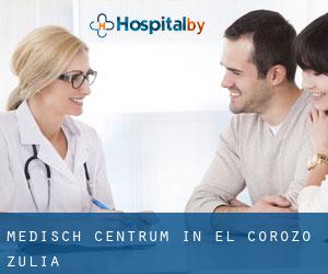 Medisch Centrum in El Corozo (Zulia)