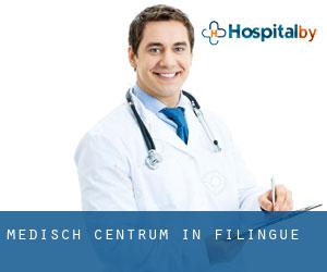 Medisch Centrum in Filingué