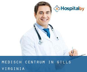 Medisch Centrum in Gills (Virginia)