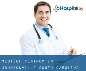 Medisch Centrum in Johnsonville (South Carolina)