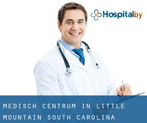 Medisch Centrum in Little Mountain (South Carolina)