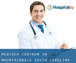 Medisch Centrum in Mountaindale (South Carolina)