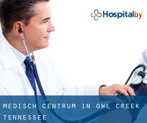 Medisch Centrum in Owl Creek (Tennessee)