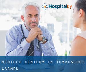 Medisch Centrum in Tumacacori-Carmen