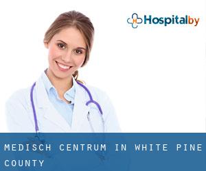 Medisch Centrum in White Pine County Medisch Centrum in White Pine County