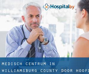 Medisch Centrum in Williamsburg County door hoofd stad - pagina 1