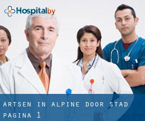 Artsen in Alpine door stad - pagina 1