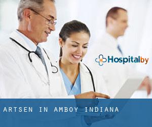 Artsen in Amboy (Indiana)