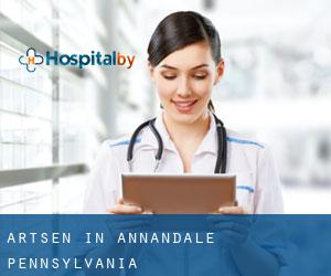 Artsen in Annandale (Pennsylvania)