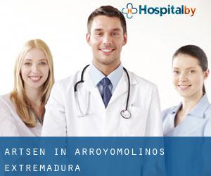 Artsen in Arroyomolinos (Extremadura)