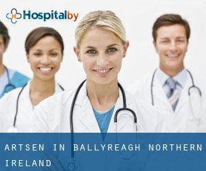 Artsen in Ballyreagh (Northern Ireland)